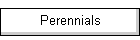 Perennials