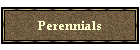 Perennials