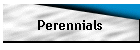 Perennials