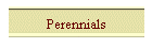 Perennials