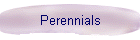 Perennials